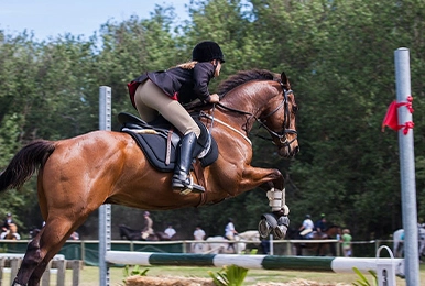 The Aesthetic Impact of Custom Equestrian Show Shirts