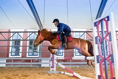 Ways to Wear Equestrian Breeches