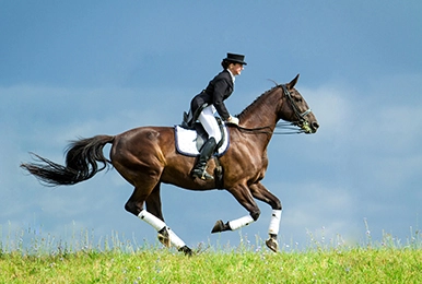 Considerations for Custom Equestrian Clothing